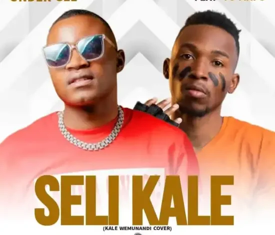 Under Gee ft Yo Maps – Seli Kale