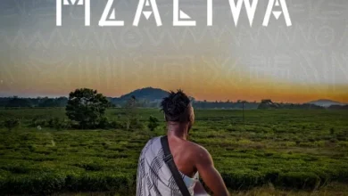 Driemo Ft Xaven – Imagine Mp3 Download