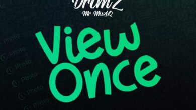 Drimz Ft BrokenHill Emmy - View Once Mp3 Download