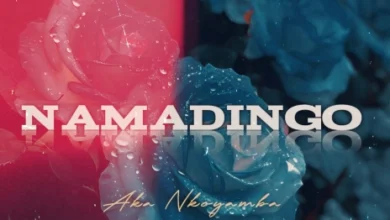 Namadingo - Aka Nkoyamba Mp3 Download
