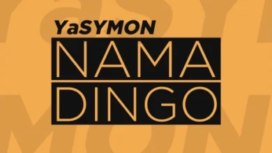 Namadingo - Ng'wi Ng'wi Mp3 Download