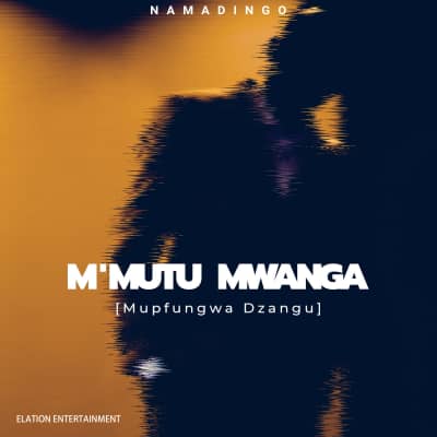 Namadingo – M’Mutu Mwanga (Mupfungwa Dzangu) Mp3 Download