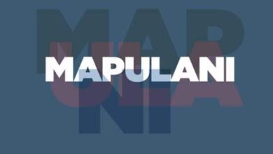 Namadingo – Mapulani Mp3 Download