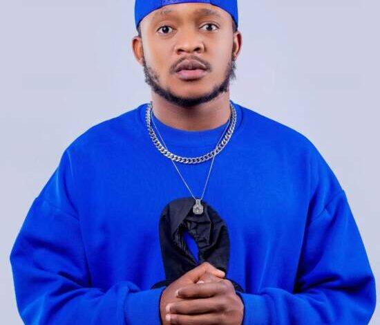 Dizmo - Paradise Mp3 Download