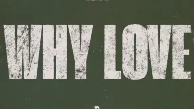 Asake - Why Love Mp3 DownloadÂ