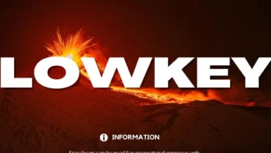 Mayorkun - Lowkey Mp3 Download 