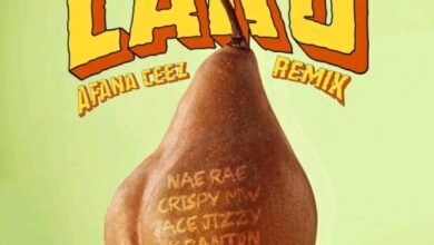 Afana Ceez Ft. Crispy MW, Nae Rae, Ace Jizzy, K Banton, Morale The Rapper - Lako (Remix) Mp3 Download