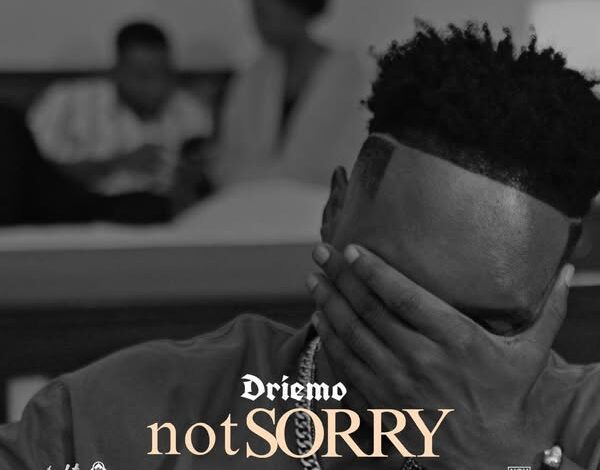 Driemo - Not Sorry Mp3 Download