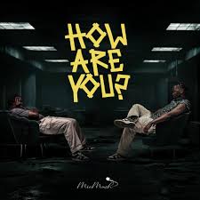 Mic Mash ft Quest MW - How Are You Mp3 Download