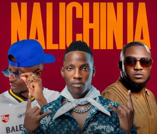 Blood Kid ft Chef 187 & Dizmo - Nalichinja Mp3 Download