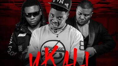 Y Cool ft Stevo & Tommy D - Ukali Mp3 Download