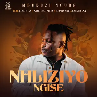 Mduduzi Ncube ft Fanatic SA, Stallin, Caeser & Ayanda Art - Nhliziyo Ngise Mp3 Download