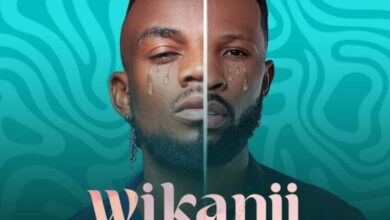 HD Empire - Wikanjipaisha Mp3 Download
